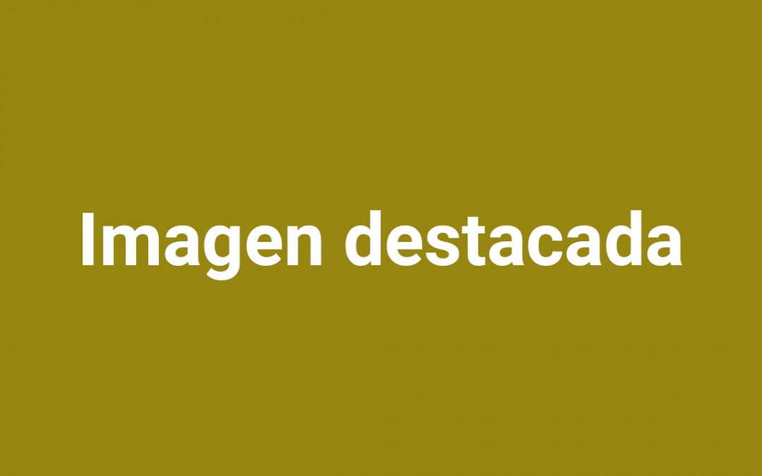¡QUE RENUNCIEN AL ESCAÑO POR DECENCIA POLÍTICA! 4