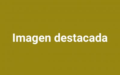 ¡QUE RENUNCIEN AL ESCAÑO POR DECENCIA POLÍTICA! 4